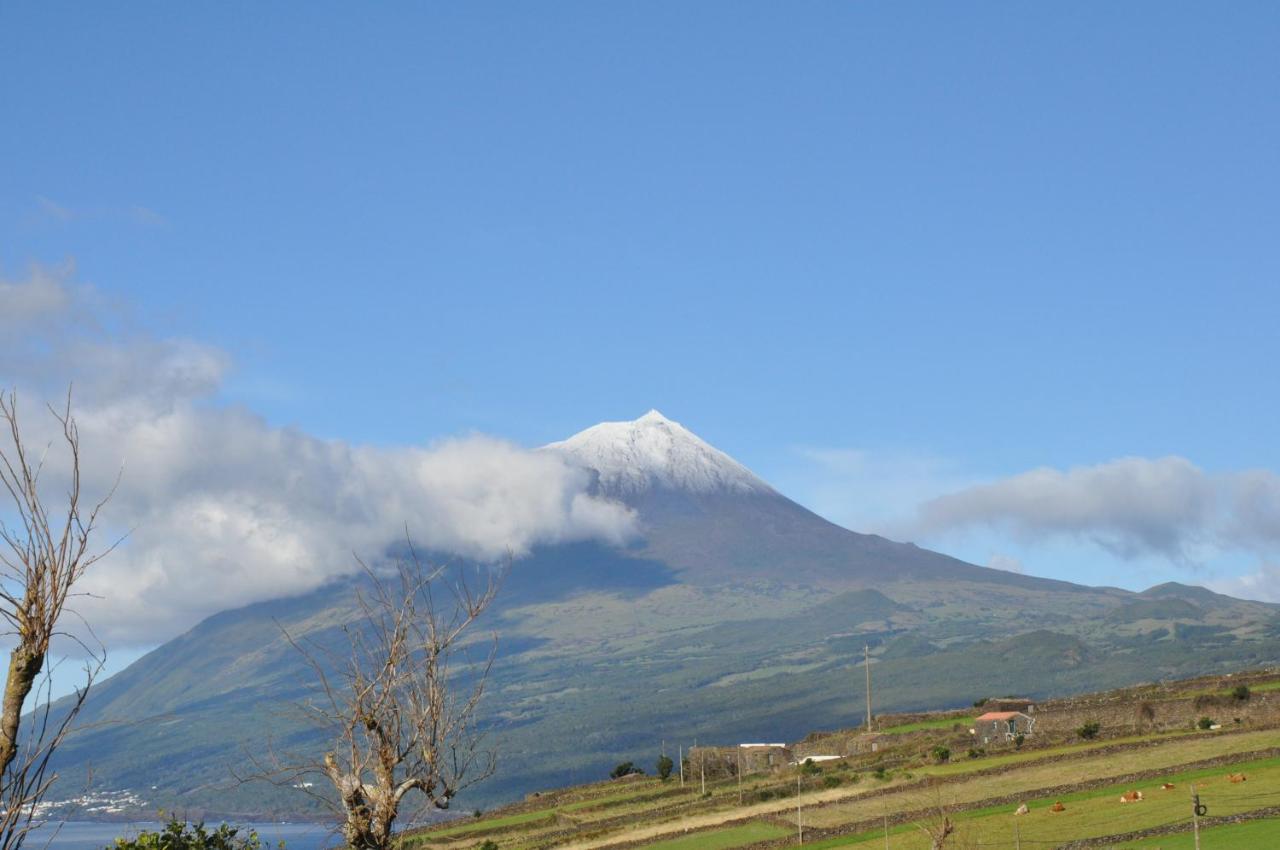 Casa Da Abrotea Villa Lajes do Pico Bagian luar foto