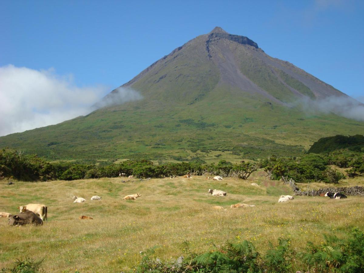 Casa Da Abrotea Villa Lajes do Pico Bagian luar foto